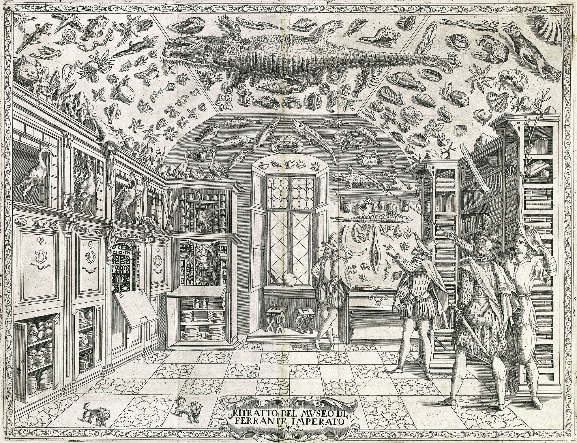Fold-out engraving from Ferrante Imperato's Dell'Historia Naturale (Naples 1599), the earliest illustration of a natural history cabinet. Source: Wikimedia.