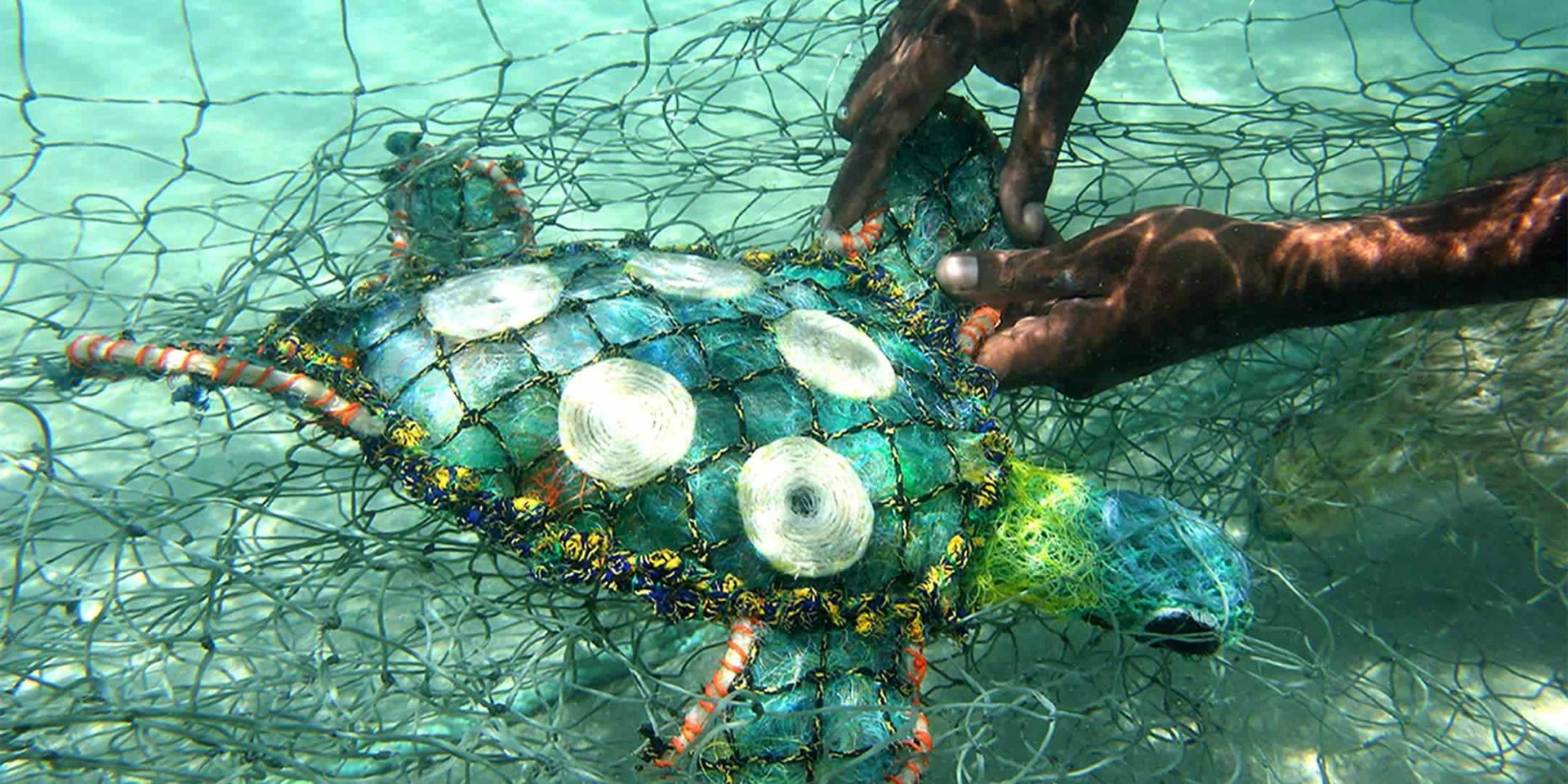 Ghost Fishing Nets Killing Marine Life
