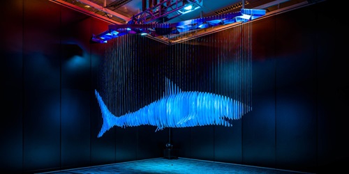 Sharks and Humanity| Image: LI JIWEI, Don’t Copy II, kinetic work, dimensions variable. Plastic, propylene, stainless steel, dynamo and lighting 2015