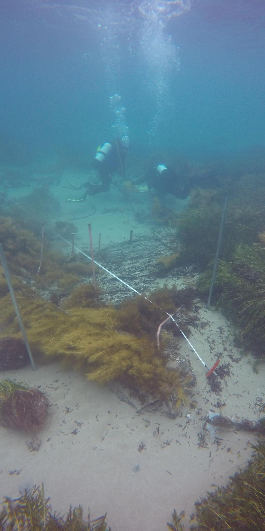 Underwater photograph showing a shipwreck and two divers in teh background