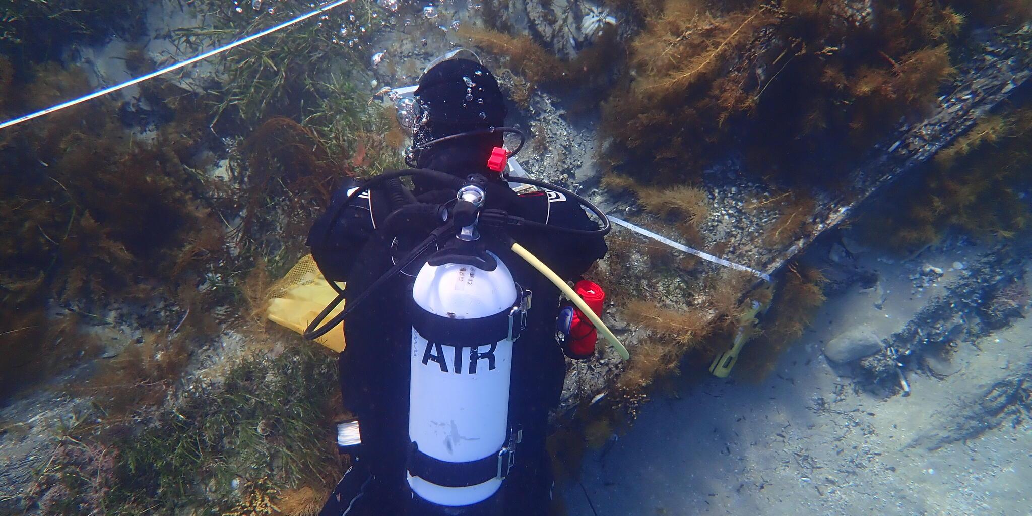 Underwater photo showing a diver wearing a SCUBA tank looking at a shipwreck