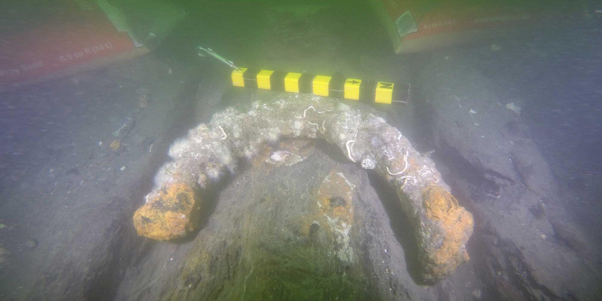 The rounded upper surface of this floor timber indicates it is unfinished and likely a hasty repair. This contrasts the flat, finished upper surface of the first futtock to its left.