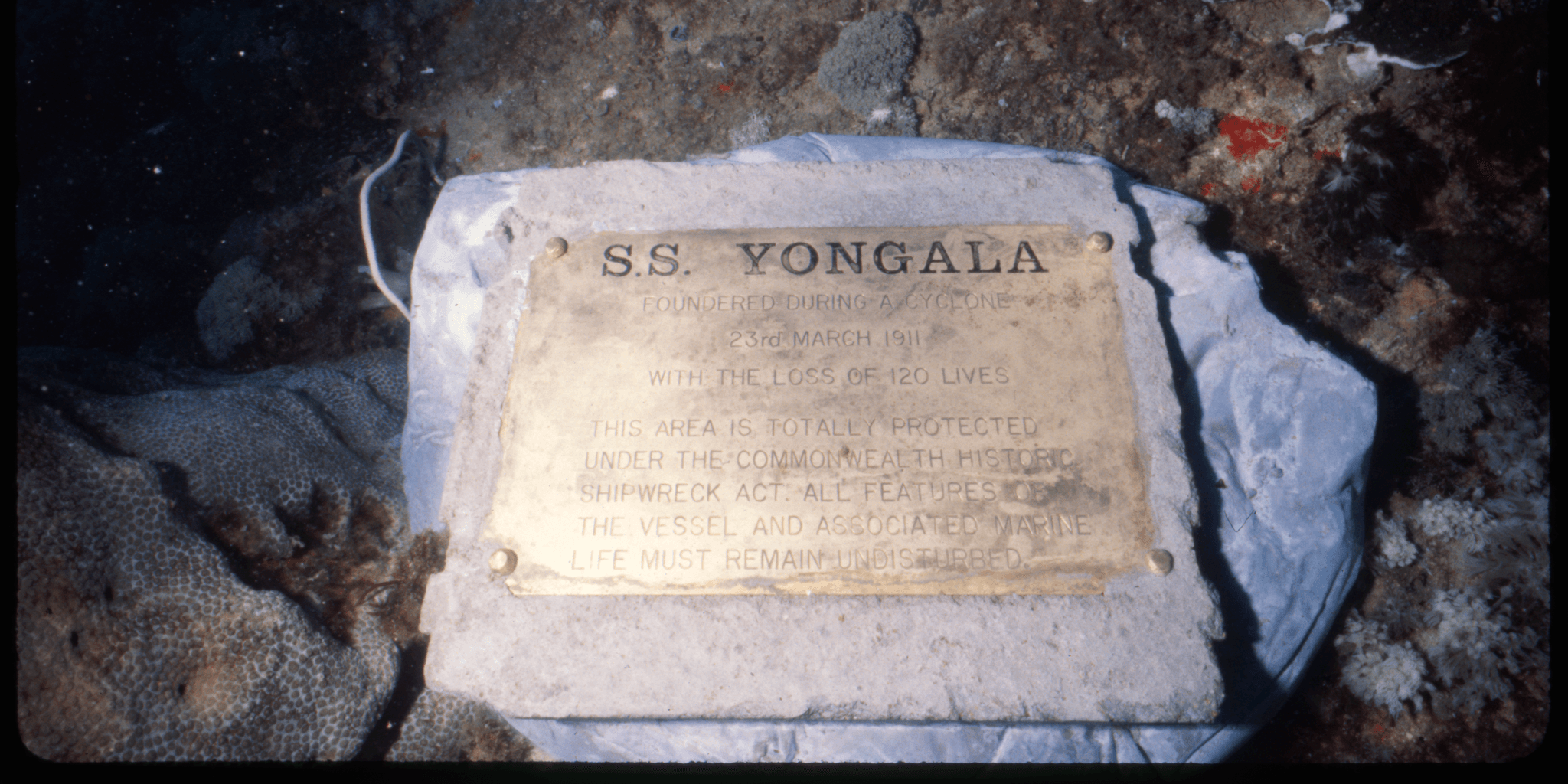 Underwater photograph of a gold plaque commemorating the S.S. Yongala located at the site of the wreck.