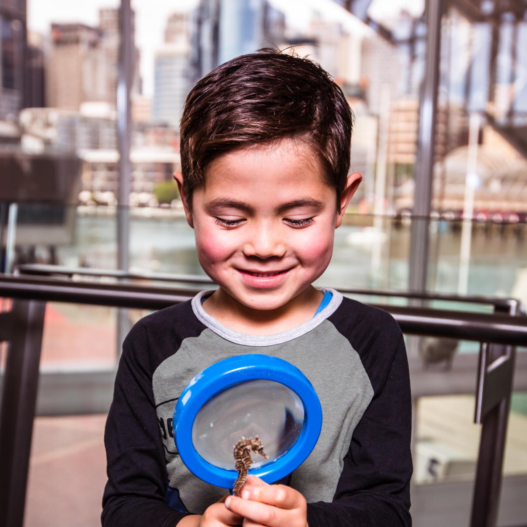 Boy with dark hair wearing a grey and black top is holding a small seahorse and looking at it through a blue magnifying glass.