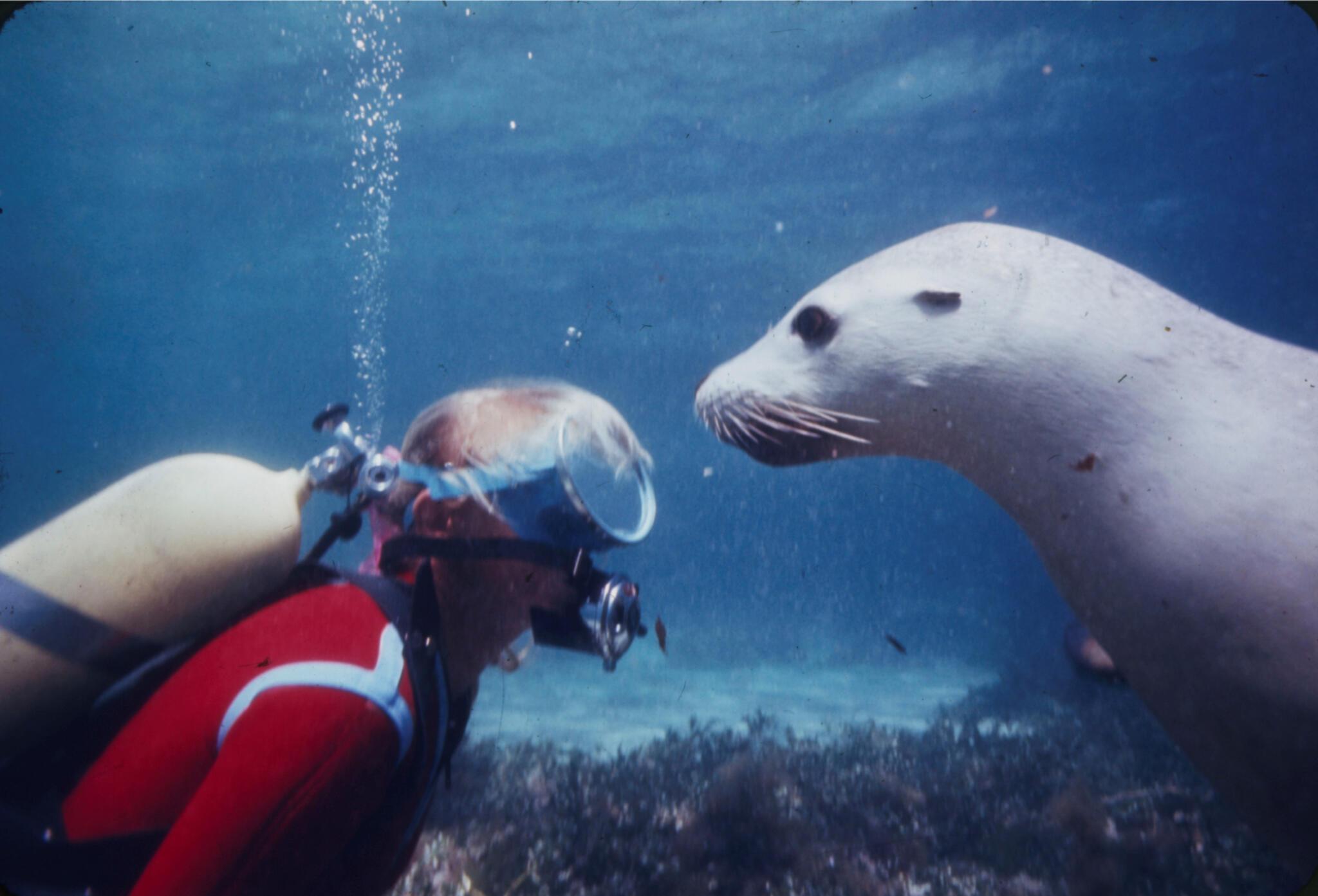 Valerie and Seal