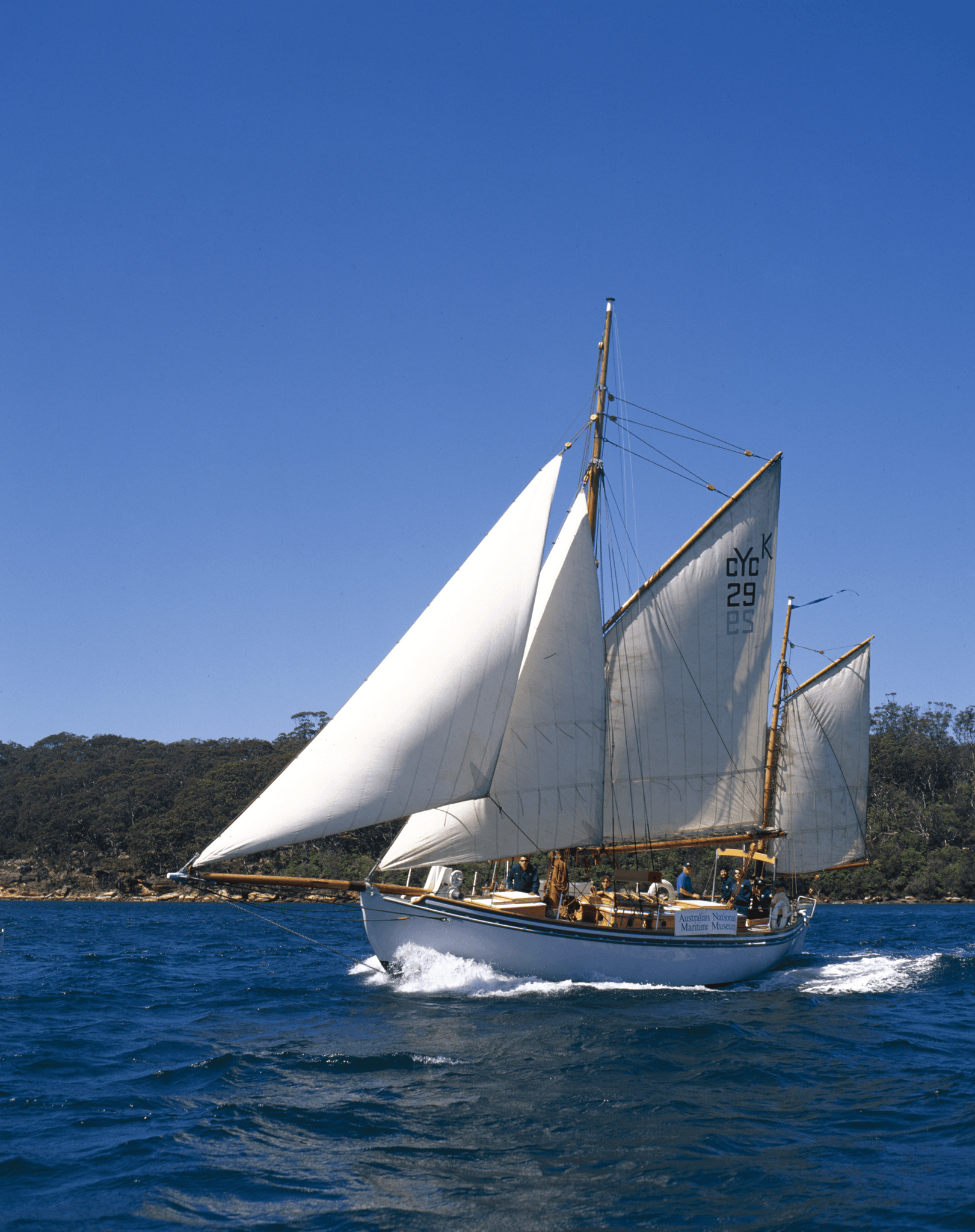 Small boat with white sails on the water, with land covered in green plants. 