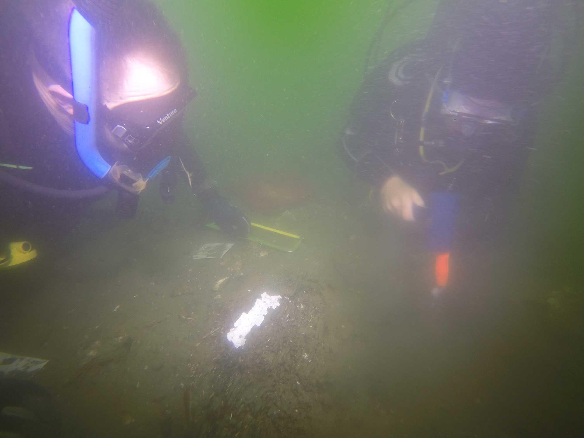 Former Chief of the Royal Australian Navy, Rear Admiral Michael Noonan (left), assists Kieran Hosty with timber sampling on RI 2394 in September 2018. 