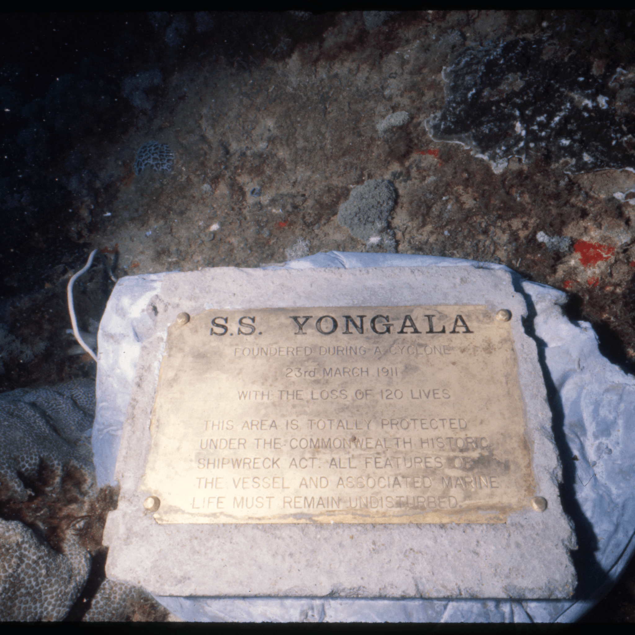 Underwater photograph of a gold plaque commemorating the S.S. Yongala located at the site of the wreck.